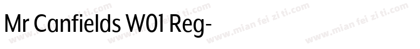 Mr Canfields W01 Reg字体转换